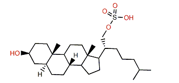 3b-Hydroxy-5a-cholestane-21-ol sulfate